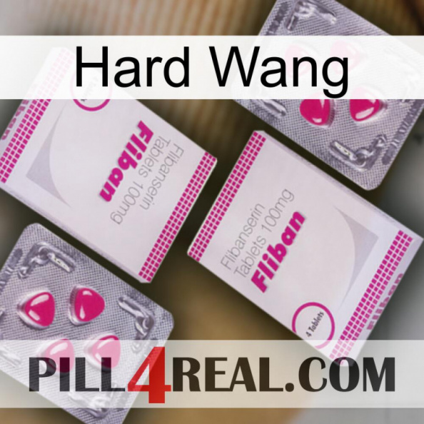 Hard Wang 33.jpg